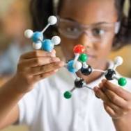 Bio Technology Institute